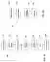 Fig. 07 - Identifying clinical trial candidates