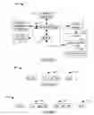 Fig. 02 - Cache function overloading