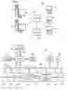 Fig. 02 - ALIASING UNIFORM RESOURCE LOCATIONS WITHIN A BROWSER
