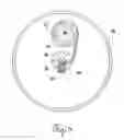 Fig. 09 - Impact Resistant Door Lock