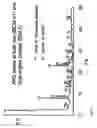 Fig. 04 - Mesostructured zeolitic materials and methods of making and using the same