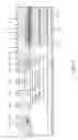 Fig. 02 - Vertical power semiconductor device with high breakdown voltage corresponding to edge termination and device regions