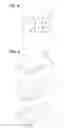 Fig. 03 - ORGANIC ELECTROLUMINESCENT ELEMENT, DISPLAY DEVICE AND LIGHTING DEVICE