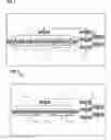 Fig. 02 - Acoustic wave filter device and duplexer