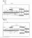 Fig. 09 - Acoustic wave filter device and duplexer