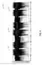 Fig. 07 - Apparatus and method for testing a wireless transceiver