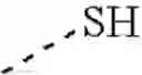 Fig. 3003 - Encapsulated contrast agents