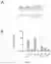 Fig. 02 - Screening tools for discovery of novel anabolic agents