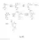 Fig. 76 - Fluorescent nucleobase conjugates having anionic linkers