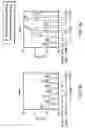 Fig. 06 - Method for Identifying Within a Mammal a DNA encoding a Physiologically Active Polypeptide