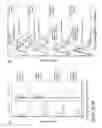 Fig. 04 - CD44 polypeptides, polynucleotides encoding same, antibodies directed thereagainst and method of using same for diagnosing and treating inflammatory diseases