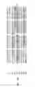 Fig. 24 - CD44 polypeptides, polynucleotides encoding same, antibodies directed thereagainst and method of using same for diagnosing and treating inflammatory diseases