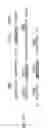 Fig. 27 - CD44 polypeptides, polynucleotides encoding same, antibodies directed thereagainst and method of using same for diagnosing and treating inflammatory diseases