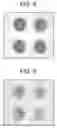 Fig. 07 - Membrane arrays and methods of manufacture