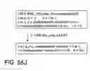 Fig. 265 - Glycopegylation methods and proteins/peptides produced by the methods