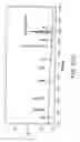 Fig. 366 - Glycopegylation methods and proteins/peptides produced by the methods