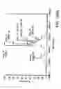Fig. 484 - Glycopegylation methods and proteins/peptides produced by the methods