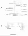 Fig. 07 - NOVEL COMPOUNDS FOR TREATMENT OF CANCER AND DISORDERS ASSOCIATED WITH ANGIOGENESIS FUNCTION