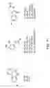 Fig. 12 - Method to Use Compositions Having Antidepressant Anxiolytic and Other Neurological Activity and Compositions of Matter