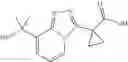 Fig. 124 - Triazolopyridine 11-beta hydroxysteroid dehydrogenase type I inhibitors