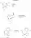 Fig. 21 - Triazolopyridine 11-beta hydroxysteroid dehydrogenase type I inhibitors