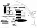 Fig. 01 - Methods and compositions to inhibit edema factor and adenylyl cyclase