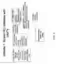 Fig. 08 - Methods and compositions to inhibit edema factor and adenylyl cyclase