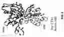 Fig. 09 - Methods and compositions to inhibit edema factor and adenylyl cyclase
