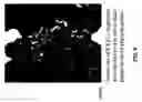 Fig. 10 - Methods and compositions to inhibit edema factor and adenylyl cyclase