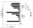 Fig. 32 - Methods and compositions to inhibit edema factor and adenylyl cyclase