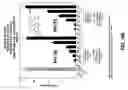 Fig. 35 - Methods and compositions to inhibit edema factor and adenylyl cyclase