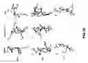 Fig. 40 - Methods and compositions to inhibit edema factor and adenylyl cyclase