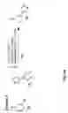 Fig. 88 - Methods and compositions to inhibit edema factor and adenylyl cyclase
