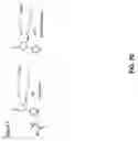 Fig. 90 - Methods and compositions to inhibit edema factor and adenylyl cyclase
