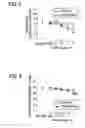 Fig. 03 - REMEDY FOR OVERACTIVE BLADDER COMPRISING ACETIC ACID ANILIDE DERIVATIVE AS THE ACTIVE INGREDIENT