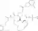 Fig. 13 - Compounds and methods for inhibiting hepatitis C viral replication
