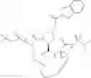 Fig. 19 - Compounds and methods for inhibiting hepatitis C viral replication