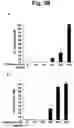 Fig. 08 - Pharmaceutical composition comprising thiacremonone for treating colon cancer