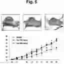 Fig. 10 - Pharmaceutical composition comprising thiacremonone for treating colon cancer