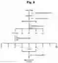Fig. 11 - Pharmaceutical composition comprising thiacremonone for treating colon cancer