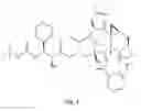 Fig. 05 - Method for treating cancer