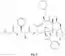Fig. 10 - Method for treating cancer