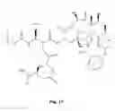 Fig. 16 - Method for treating cancer