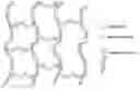 Fig. 01 - Bio-polymer and scaffold-sheet method for tissue engineering