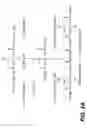 Fig. 03 - Bio-polymer and scaffold-sheet method for tissue engineering
