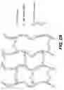 Fig. 04 - Bio-polymer and scaffold-sheet method for tissue engineering