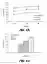Fig. 06 - Bio-polymer and scaffold-sheet method for tissue engineering