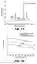 Fig. 09 - Bio-polymer and scaffold-sheet method for tissue engineering