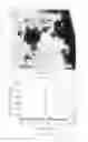 Fig. 09 - Dental releasing materials