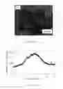Fig. 16 - Dental releasing materials